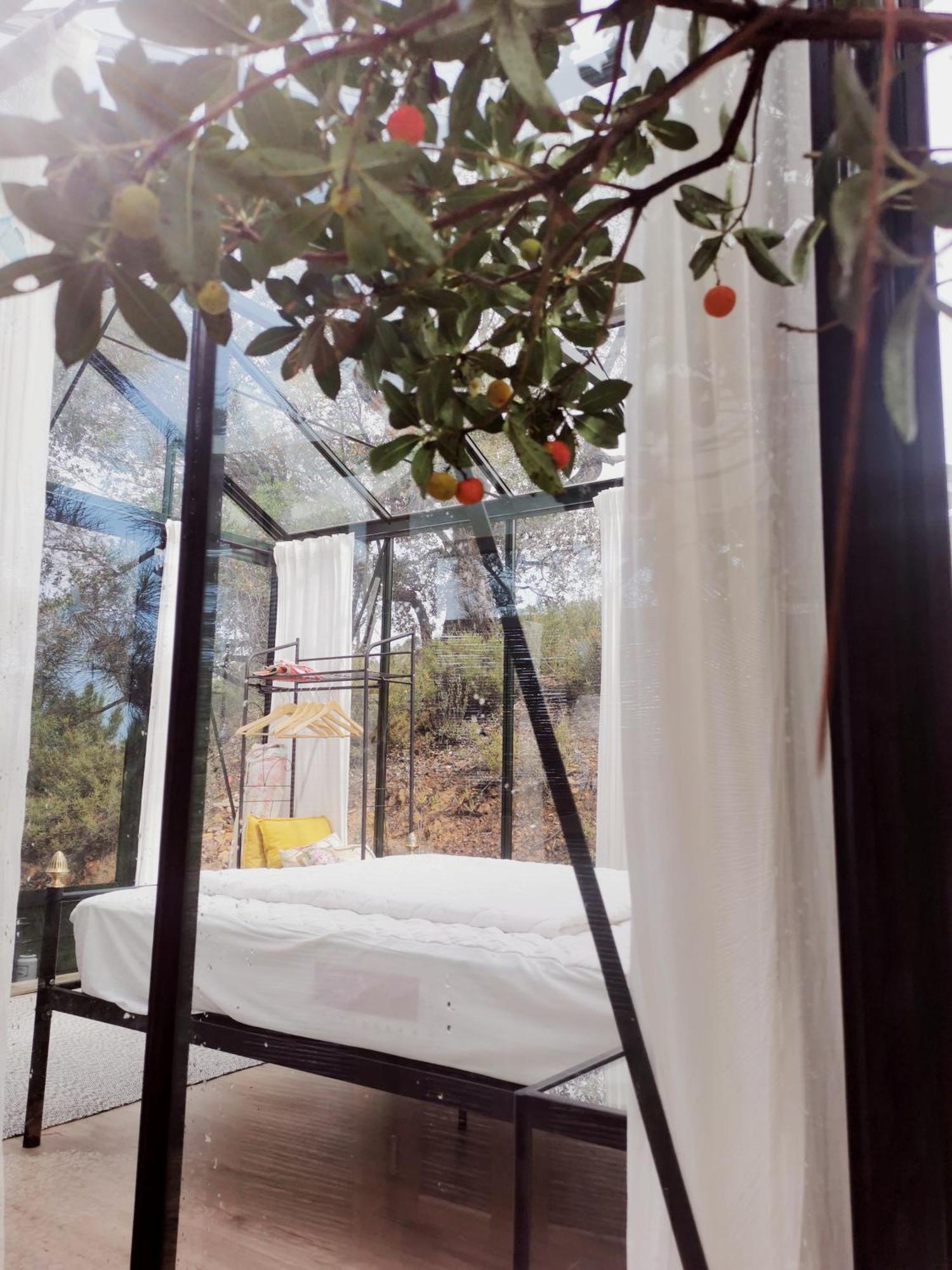 Romantic Skyview Glasshouses Rogil Esterno foto